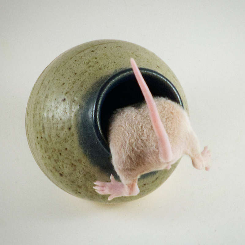 Chinese New Year Rat